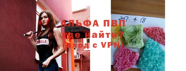 гашик Грязовец