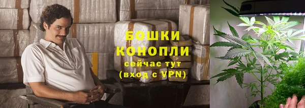 бошки Богородск