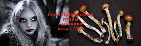 ECSTASY Верхний Тагил